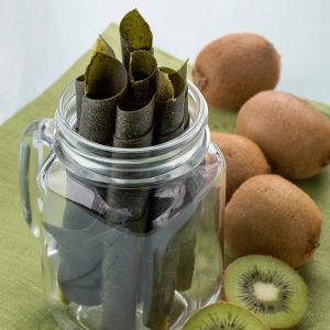 Kiwi Kale Leather